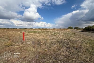 Teren Construcții intravilan de 506 mp, în Săcălaz - 3