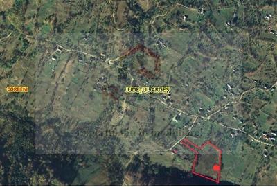 Teren agricol extravilan de 11740 mp, în Corbeni - 2