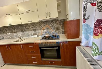 Inchiriere apartament 2 camere 70 mp Metrou Tineretului - 3