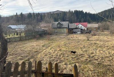 Casa batraneasca , teren 2064mp, Sucevita - 5