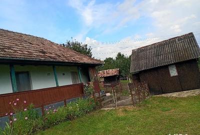 Casă în Petea - 3