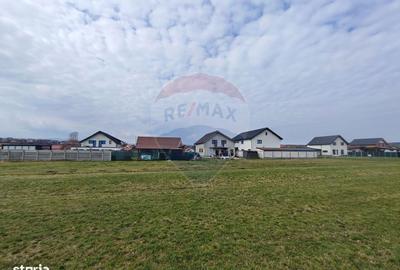 Spațiu comercial, în Șura Mică - 5