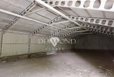Spațiu industrial, de 370 mp, în Theodor Pallady - 2