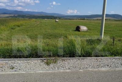 Teren extravilan, Livezile, 1.83 hectare - 4