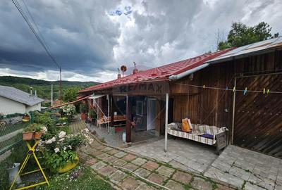 Casa / Vila 124 mp + foisor + garaj + teren intravilan ... - 3