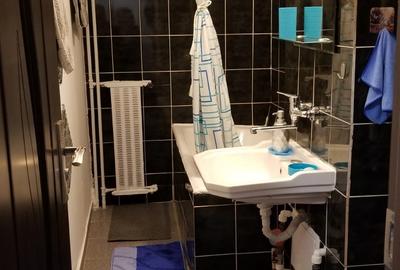 Garsonieră decomandată, mobilată în Vitan - 12