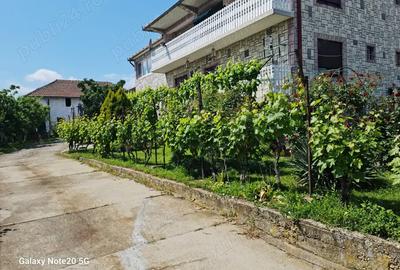 Casa superba im Serbia - 5