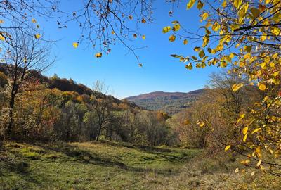 Vand Teren Arefu, Arges zona Cetatea Poenari (Vlad Tepes), Transfagarasan - 3