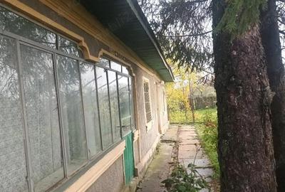 Casă cu 3 camere cu Teren 1100 Mp în Socetu - 6