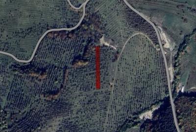 Spațiu comercial, în Feleacu - 1