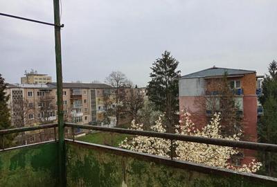 Apartament 2 camere in Deva, zona Gojdu-Zamfirescu Apartament 2 camere in Deva, zona Gojdu-Zamfirescu - 14