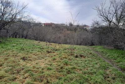 Teren de 2160 mp, în Vârlezi - 4