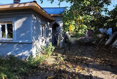 FARA COMISIOANE in Sabareni la drum asfaltat casa batrineasca pe 1000mp - 3