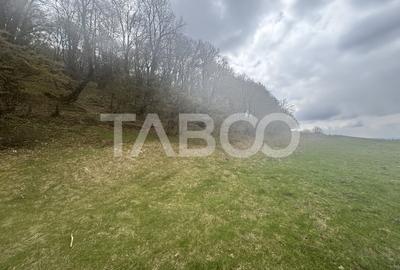 Teren de vanzare cu deschidere la padure 15600 mp in Hamba Sibiu - 3