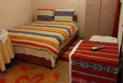 CHELTUIELI INCLUSE: Camera de inchiriat la demisol zona Penny Autogara CHELTUIELI INCLUSE: Camera de inchiriat la demisol zona Penny Autogara - 2