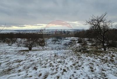 Teren de 10000 mp, în Rădășeni - 14