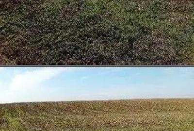 Teren extravilan Barlogu; ID: R2825534 - 8