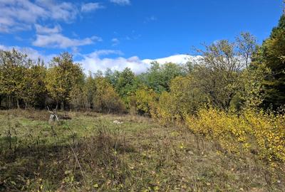 Casă cu 5 camere cu Teren 7017 Mp în Pruni - 1