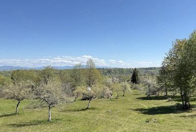 Teren de 4193 mp, în Breb - 2