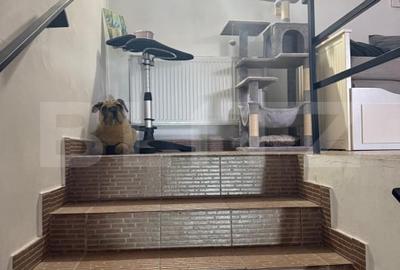 Casa 6 camere, zona Bariera Bucuresti - 12