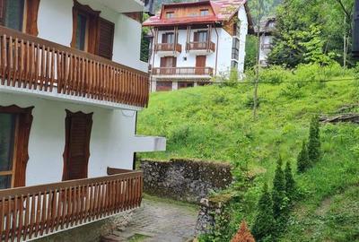 Tur LIVE! Refugiu in ambientul special al statiunii Poiana Brasov - 25