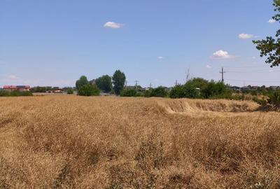 Teren intravilan 383 mp | Utilitati | Acces drum principal Teren intravilan 383 mp | Utilitati | Acces drum principal - 7