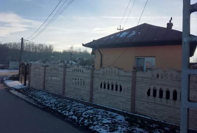 Casă cu 3 camere în Central - 1