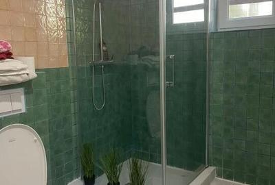 Soseaua Pantelimon, sector 2, vila 8 camere P+1+M - 10