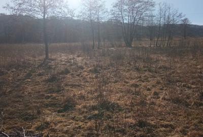 Teren de 5000 mp, în Vicovu de Sus