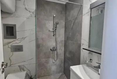 Apartament cu o camera de inchiriat in zona Aradului - 2