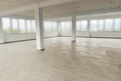 Tatarasi - Doi Baieti, spatiu de birouri 162.4mp, disponibil imediat - 3