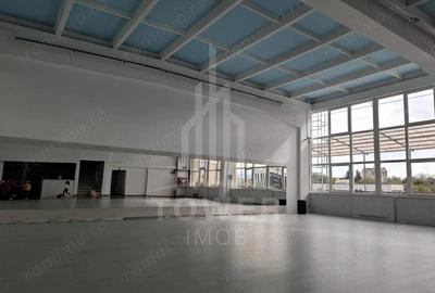 Spatiu de inchiriat de 140 mp cu terasa -zona P-ta Cibin Spatiu de inchiriat de 140 mp cu terasa -zona P-ta Cibin - 5