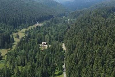 Casă cu 4 camere cu Teren 1365 Mp în Borzont - 6