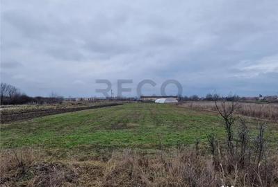 Teren de 1167 mp, în Borș - 5