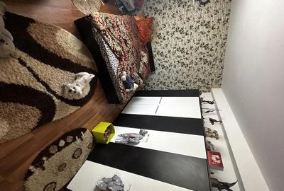Apartament cu 2 camere decomandat în Central - 5