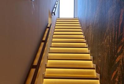 Vila premium in Borhanci, proiect exclusivist - 15