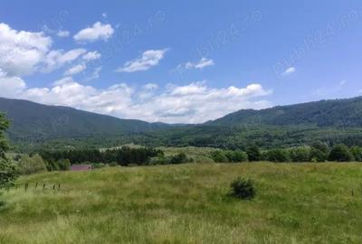 Teren de 2750 mp, în Slatina - 5