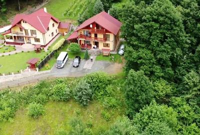 Oferta casa de vacanta P+1+M cu 1700mp teren, in Gura Raului - 6