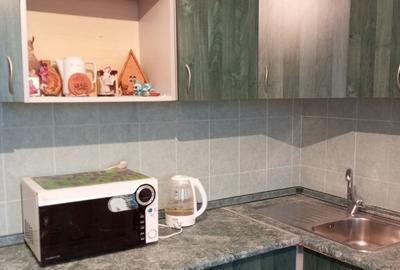 Garsoniera de inchiriat in zona Ozana - 2