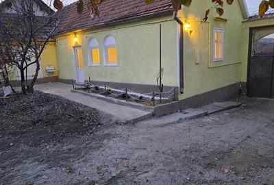Vand casa in com. Loamnes sat Alamor(Sibiu) - 10