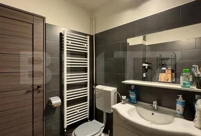 Apartament cu 3 camere decomandat în Brazda lui Novac - 9