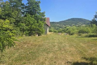 Casă cu 6 camere cu Teren 5900 Mp în Periferie - 1