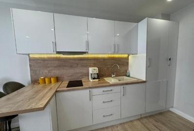 Apartament de vanzare zona Aradului - 5