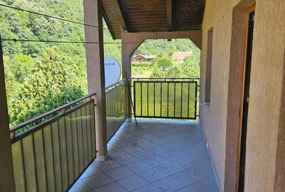 Vand casa vacanta la munte zona Herculane 165 000 - 4