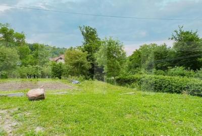 Casă cu 3 camere cu Teren 2000 Mp în Moreni - 6