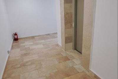 Aviatiei-Herastrau, 2 camere de inchiriat, 75 mp, prima inchiriere, terasa - 14