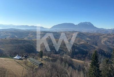 Teren 16469 mp extravilan arabil  Poiana Marului zona Vulcanita - 8