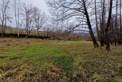 Resita, Teren Drept Intravilan, Langa Prau si Drum, Parcelab - 2