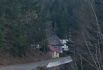 Teren Construcții intravilan de 10000 mp, în Albac - 7