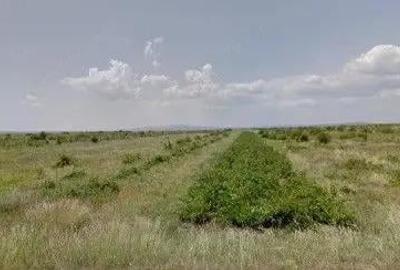 Teren de 6390 mp, în Cernătești - 6